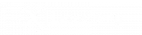 Lexstery